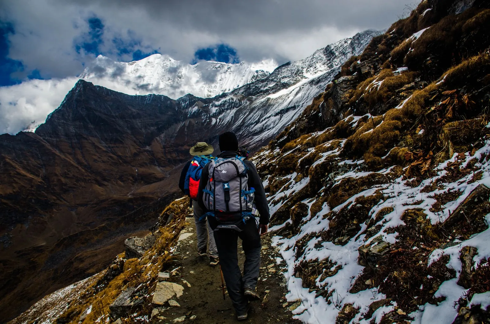 Gregory Baltoro 65 hip belt and floating frame back panel on a hiker carrying a loaded pack on a forest trail