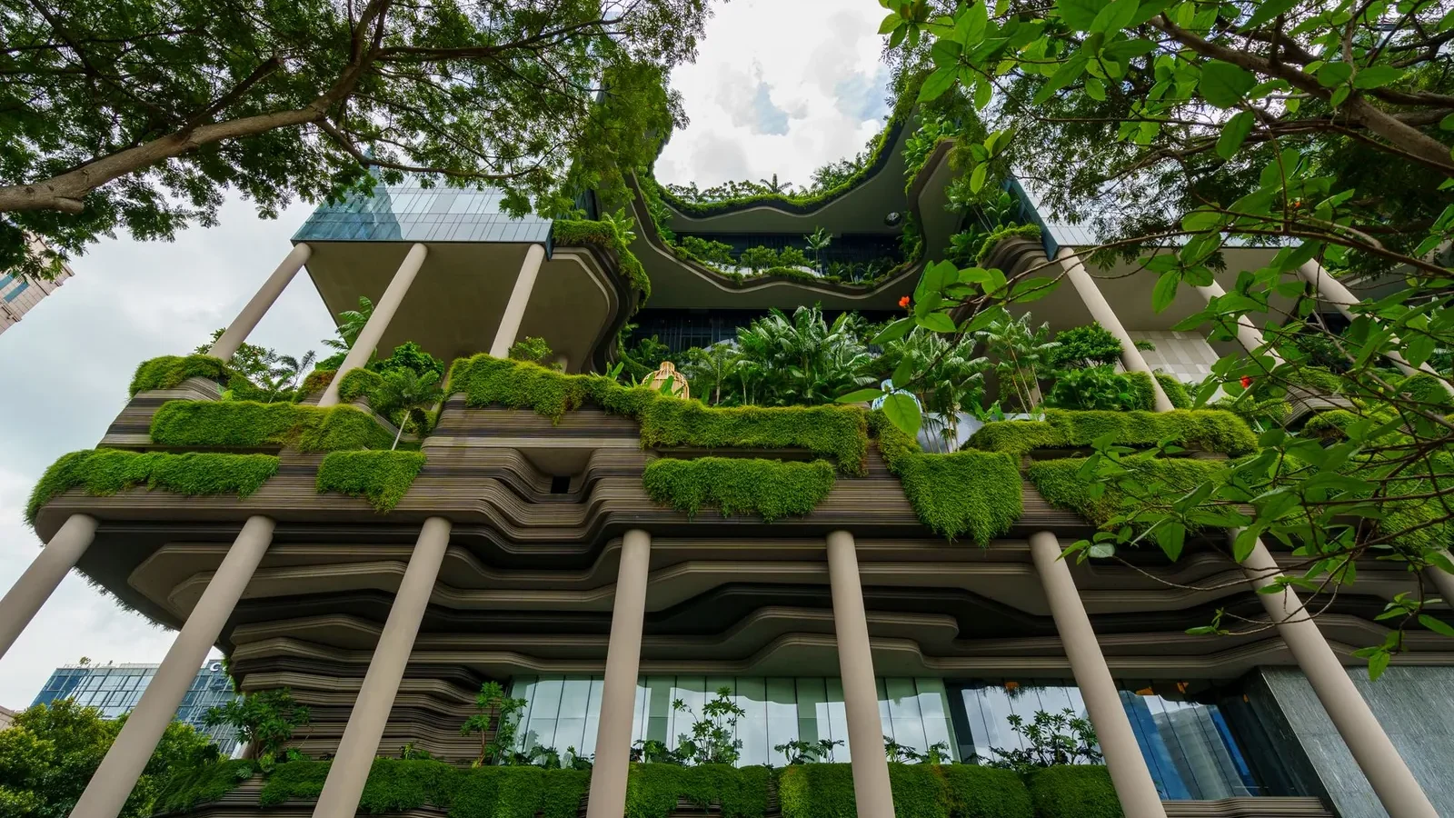 Hotel lobby built with reclaimed wood and natural stone, large windows replacing artificial lighting, living plant wall along one side