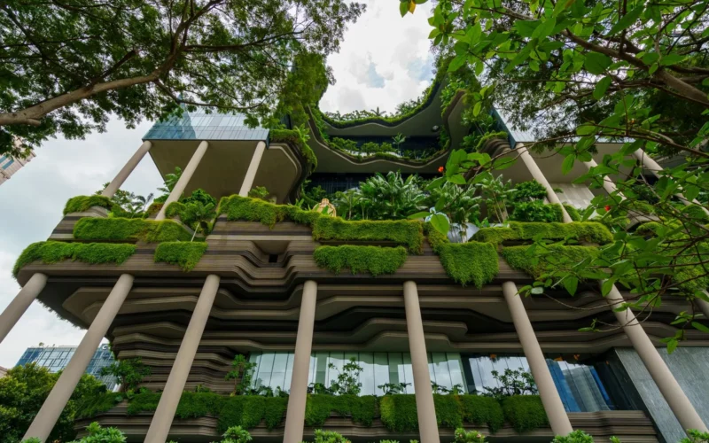 Hotel lobby built with reclaimed wood and natural stone, large windows replacing artificial lighting, living plant wall along one side